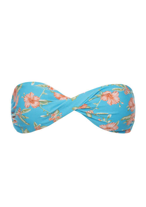 Alice Tropical Ocean