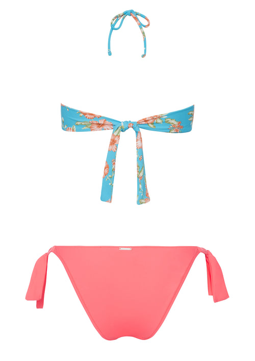 Alice Tropical Ocean