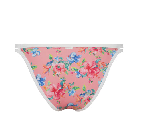 Kelly Amazon Tulip